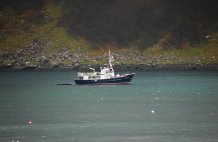 HJALMER BJORGE 12.05.15 Northern Light Cruises