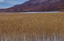 Snowy Cuillins