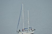 Silurian Hebridean Whale and Dolphin Conservation Vessel