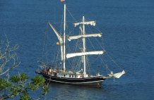 Lady of Avenel