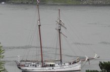 The Flying Dutchman 13.08.14